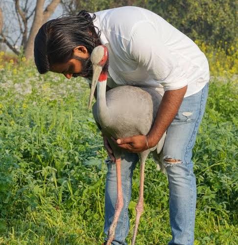 सारस से दोस्ती करने के मामले में आरिफ पर मुकदमा दर्ज